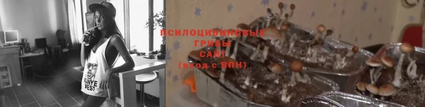 метадон Лихославль